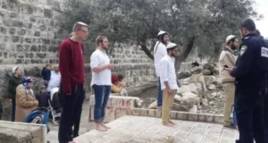 عشرات المستعمرين يقتحمون المقامات الإسلامية في كفل حارس شمال سلفيت